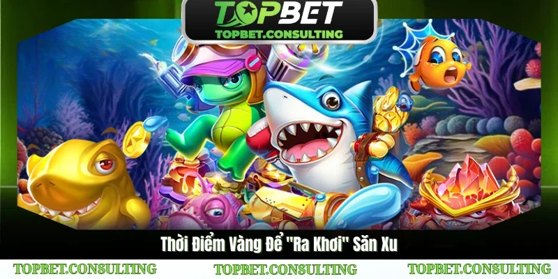 Thời Điểm Vàng Để "Ra Khơi" Săn Xu