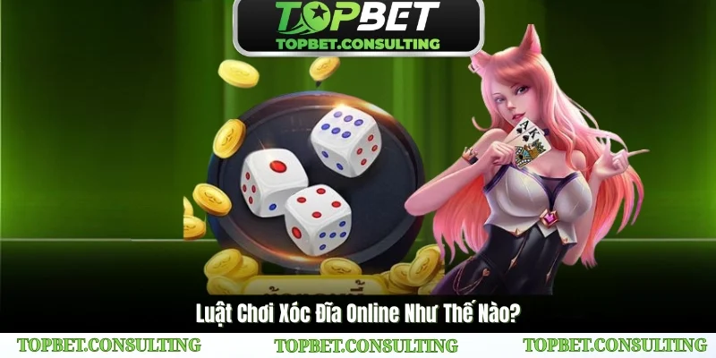 Tìm hiểu về luật chơi xóc đĩa online