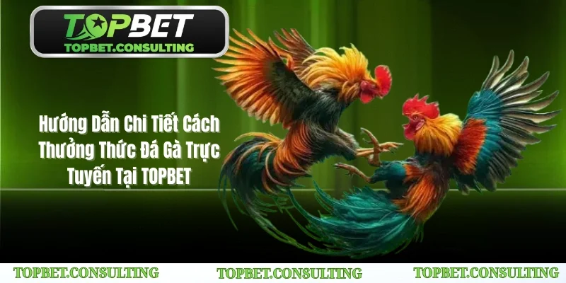 Đá Gà Trực Tuyến