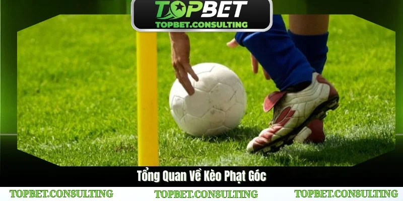 Kèo phạt góc là sự lựa chọn ưu tiên của nhiều thành viên tại TOPBET