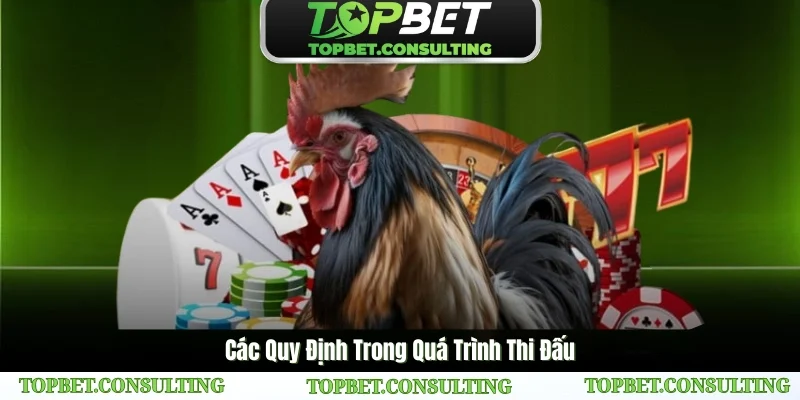 Hiểu rõ luật chơi và các quy định tại Sân Chơi Gà Đá Savan