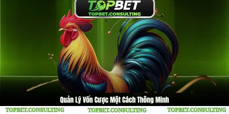 Phân bổ vốn cược hợp lý để tối đa hóa lợi nhuận tại Sân Chơi Gà Đá Savan TOPBET