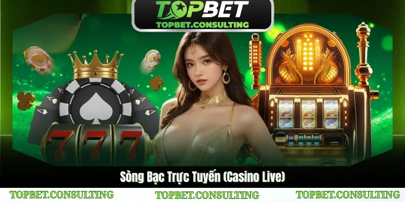 Casino TOPBET – Sân chơi hàng đầu cho mọi người yêu thích giải trí trực tuyến