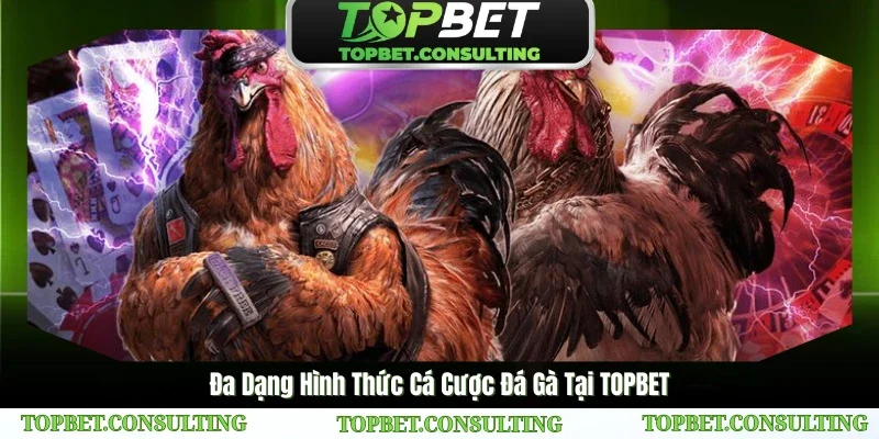 Đa Dạng Hình Thức Cá Cược Đá Gà Tại TOPBET