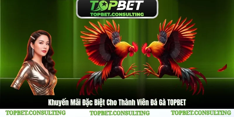 Khuyến Mãi Đặc Biệt Cho Thành Viên Đá Gà TOPBET