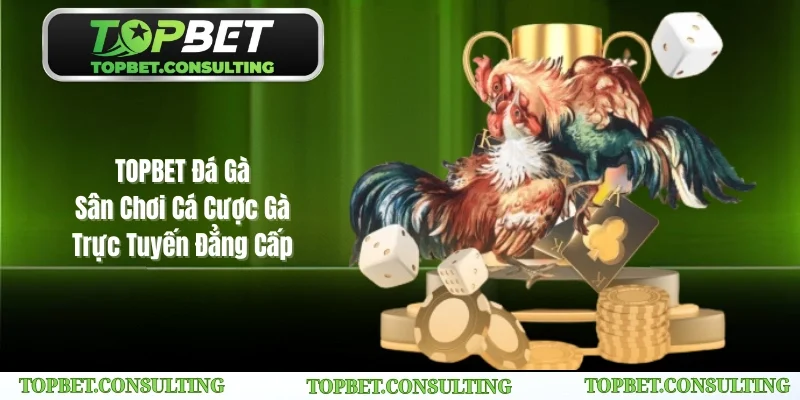 Đá gà TOPBET